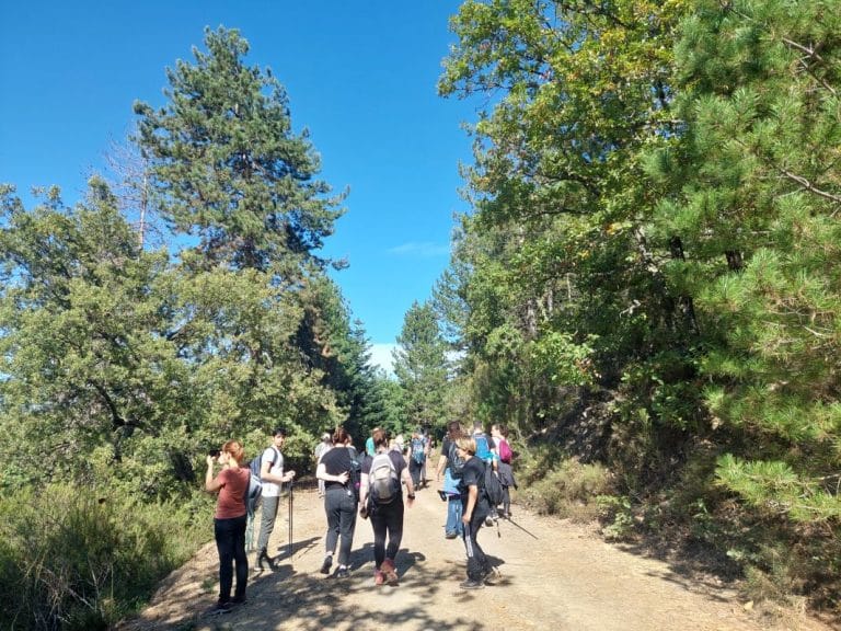 Καστανοδάσος Καρυών