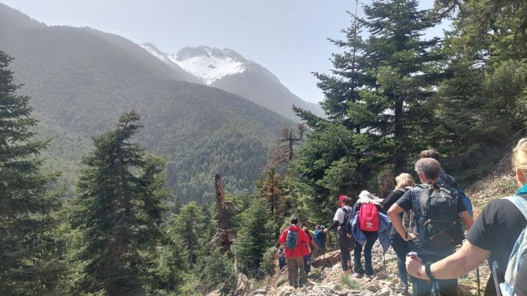 Φωτογραφία εξωφύλλου από πεζοπορική εκδρομή στη Χαράδρα Φλαμπουρίτσας με το BackpackOnGreece