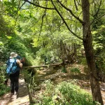 Περάσματα πάνω από το ποτάμι με ξύλινα γεφυράκια. Πεζοπόροι περνούν ξύλινα γεφυράκια στον Υδροβιότοπο Τζιρού με το BackpackOnGreece