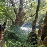 Το νερό του Βοϊδομάτη μάς συνόδευε σε όλα τα βήματα της διαδρομής. Πεζοπόροι περπατούν δίπλα στον ποταμό Βοϊδομάτη στα Ζαγοροχώρια