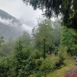 Ακόμα και η βροχή γίνεται σύμμαχος όταν περπατάς στα μονοπάτια του Mont Blanc. Βροχερή πεζοπορία στο Tour du Mont Blanc μέσα σε ατμοσφαιρικό δάσος