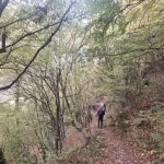 Χρυσαφένια φύλλα και το μονοπάτι να χάνεται μέσα στο φθινόπωρο. Λουτρά Πόζαρ