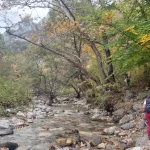 Νερό, φύση και ρυθμός — η πεζοπορία στα καλύτερά της. Πεζοπορία δίπλα στο ποτάμι με πλατάνια και καθαρό αέρα στα Λουτρά Πόζαρ