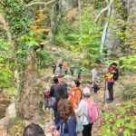 Η ομάδα του BackpackOnGreece περπατά στο μονοπάτι μέσα στο δάσος στα Λουτρά Πόζαρ