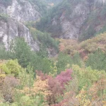 Το δάσος ντύνεται με τις πιο ζεστές αποχρώσεις του φθινοπώρου. Λουτρά Πόζαρ