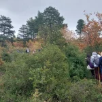 Τα πρώτα μας βήματα στο μονοπάτι, με το φθινόπωρο να ντύνει το δάσος στα καλύτερά του. Δρυοδάσος Μογγοστού