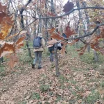 Πεζοπορική ομάδα μέσα στο Δρυοδάσος Μογγοστού, ανάμεσα σε φθινοπωρινά φύλλα και κλαδιά.