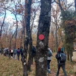 Πεζοπόροι στο Δρυοδάσος Μογγοστού περπατούν ανάμεσα σε πυκνή φθινοπωρινή βλάστηση.