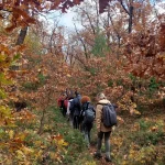Βάθινα χρώματα και ήρεμος ρυθμός μέσα στην καρδιά του δάσους. Η ομάδα περπατά σε καταπράσινο-χρυσαφί μονοπάτι μέσα στο φθινοπωρινό δάσος.