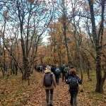 Στο κέντρο της φύσης, στο πιο όμορφο κομμάτι της διαδρομής. Η ομάδα περπατά στο πιο πυκνό και εντυπωσιακό τμήμα του δρυοδάσους Μογγοστού.