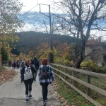 Ξεκίνημα της πεζοπορίας μέσα στο ελατόδασος, με όλη την ομάδα έτοιμη για μια φθινοπωρινή μέρα στη φύση. Ελατόδασος Ζαρούχλας πεζοπορία