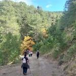 Το μονοπάτι απλώνεται μέσα σε ένα σκηνικό από έλατα και καστανιές. Η ομάδα στο Ελατόδασος Ζαρούχλας ανάμεσα σε έλατα και καστανιές