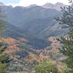 Το δάσος της Ζαρούχλας ντυμένο στα χρώματα του φθινοπώρου. Φθινοπωρινό δάσος Ζαρούχλας