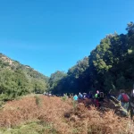 Πεζοπόροι σε φωτεινό μονοπάτι της Ορεινής Ηλείας