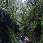 Το πιο πράσινο, υγρό και ατμοσφαιρικό κομμάτι του φαραγγιού. Στενό σημείο του Φαραγγιού των Κενταύρων με υγρά, πράσινα βράχια