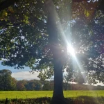 Μια ήρεμη στιγμή στη χρυσαφένια εξοχή της Ηλείας. Ηλιόλουστο λιβάδι στην Ορεινή Ηλεία