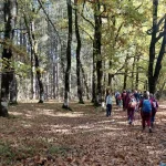 Ομάδα πεζοπόρων μέσα στο Δρυοδάσος Φολόης