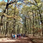 Βήματα μέσα στην πιο ήρεμη πλευρά της Φολόης. Ομάδα πεζοπορεί ανάμεσα σε βελανιδιές στη Φολόη