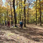 Μια ήρεμη στιγμή ευεξίας μέσα στο δάσος. Μάθημα διατάσεων στο Δρυοδάσος Φολόης με την καθοδήγηση της Λένας