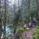 Το μονοπάτι μάς οδηγεί βαθύτερα στο δάσος, μέσα σε ένα υπέροχο φυσικό τοπίο. Καλογραμμένο μονοπάτι μέσα στο δάσος του Μαινάλου με χειμερινή ατμόσφαιρα.