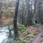 Η διαδρομή μας αγκαλιάζει από τον ήχο και την ενέργεια του ποταμού. Πεζοπορία της ομάδας δίπλα στον ορμητικό Μυλάοντα ποταμό στο Μαίναλο.