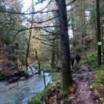 Η φύση στα καλύτερά της: νερά, χρώματα και υπέροχη διάθεση. Η ομάδα συνεχίζει την πορεία της δίπλα στα πλούσια νερά του Μυλάοντα ποταμού.