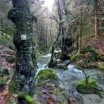 Το Μαίναλο στα πιο αυθεντικά του χρώματα, με το ποτάμι να ζωγραφίζει το τοπίο. Ορμητικό ποτάμι που κυλά μέσα από το δάσος του Μαινάλου, ανάμεσα σε φθινοπωρινά χρώματα.