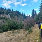 Πεζοπόροι κινούνται μέσα στο δάσος σε ένα στενό αλλά καλογραμμένο μονοπάτι.