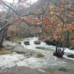 Το ποτάμι και το δάσος σε μια από τις πιο όμορφες στιγμές της διαδρομής. Ο Μυλάοντας ποταμός κυλά μέσα από φθινοπωρινά δέντρα δημιουργώντας εντυπωσιακό φυσικό τοπίο.