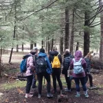 Μαθαίνουμε να ξεχωρίζουμε τα ασφαλή είδη μέσα από πρακτική καθοδήγηση στο πεδίο. Ο πιστοποιημένος συλλέκτης μας δείχνει τα χαρακτηριστικά ενός μανιταριού μέσα στο δάσος