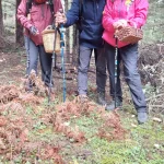 Η ομάδα κατά τη διαδρομή μέσα στο ελατοδάσος, έτοιμη για νέες ανακαλύψεις. Μέλη του BackpackOnGreece στο δάσος κρατώντας καλαθάκια συλλογής