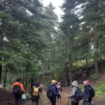 Το βλέμμα χαμηλά, εκεί όπου η φύση κρύβει τους μικρούς θησαυρούς της. Συμμετέχοντες κινούνται προσεκτικά στο δάσος του Μαινάλου αναζητώντας μανιτάρια