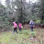 Βήμα-βήμα μέσα στο πυκνό δάσος, ανακαλύπτοντας τα σημεία που αγαπούν οι μύκητες. Συμμετέχοντες κινούνται στο δασωμένο μονοπάτι εξερευνώντας το έδαφος για μανιτάρια