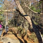 Ακολουθώντας τη σήμανση του Ursa Trail. Μέτσοβο στα χνάρια της αρκούδας με την ομάδα στο μονοπάτι και τη σήμανση της διαδρομής