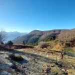 Η πρωινή πάχνη δίνει ξεχωριστό χρώμα στη διαδρομή. Η ομάδα περπατά σε μονοπάτι με πρωινή πάχνη στα σκιερά σημεία