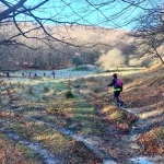 Λεπτομέρειες που κάνουν τη διαφορά. Πρωινή πάχνη στο λιβάδι κατά μήκος του μονοπατιού