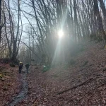 Ανηφορικά κομμάτια μέσα σε χρυσαφένιο χαλί φύλλων. Μέτσοβο στα χνάρια της αρκούδας με την ομάδα να ανηφορίζει σε μονοπάτι ανάμεσα σε φύλλα οξιάς