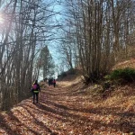 Μονοπάτια που σε κάνουν να θες να συνεχίσεις. Η ομάδα περπατά σε μονοπάτι σκεπασμένο με φύλλα στο Μέτσοβο