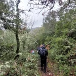 Η ομάδα μας σε ένα καταπράσινο κομμάτι του μονοπατιού, εκεί που το δάσος δείχνει πιο ζωντανό από ποτέ. Μέλη της ομάδας BackpackOnGreece περπατούν σε καταπράσινο μονοπάτι στο Δρυοδάσος Ρουπάκι