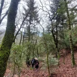 Η διαδρομή συνεχίζεται μέσα σε ένα χαλί από φύλλα, με σταθερό και χαλαρό ρυθμό. Πεζοπόροι της ομάδας σε μονοπάτι στρωμένο με φύλλα στο Δρυοδάσος Ρουπάκι