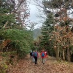 Η πορεία συνεχίζεται ήρεμα σε πιο φαρδύ μονοπάτι, μέσα στο δάσος. Η ομάδα συνεχίζει σε φαρδύ μονοπάτι στρωμένο με φύλλα στο Δρυοδάσος Ρουπάκι