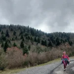 Το δάσος ανοίγει και η διαδρομή συνεχίζεται με φόντο το Ρουπάκι. Πεζοπόροι της ομάδας σε φαρδύ δασικό δρόμο με φόντο το Δρυοδάσος Ρουπάκι