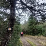 Τα τελευταία μέτρα της διαδρομής, με την ίδια καλή διάθεση. Η ομάδα περπατά στο μονοπάτι προς το τέλος της διαδρομής στο Δρυοδάσος Ρουπάκι