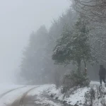 Στιγμές που δεν τις σχεδιάζεις, απλώς τις ζεις. Άλογα μέσα στην ομίχλη και το χιόνι πλησιάζουν φιλικά μέλη της ομάδας στο χειμερινό τοπίο