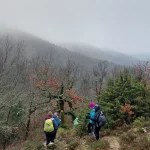 Συνεχίζουμε, ακόμα κι όταν το τοπίο χάνεται. Η ομάδα περπατά στο μονοπάτι κάτω από πυκνή ομίχλη, μέσα σε χειμερινό δασικό τοπίο