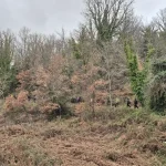 Η ομάδα μας περπατά μέσα στο δάσος του Πάρνωνα, απολαμβάνοντας τη γαλήνη της φύσης. Το Μονοπάτι του Δάσους