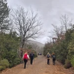 Σε φαρδύ δασικό δρόμο, η πορεία συνεχίζεται με σταθερό και ευχάριστο ρυθμό. Το Μονοπάτι του Δάσους
