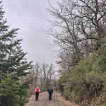 Σταθερός ρυθμός και καλή παρέα σε μια απολαυστική δασική διαδρομή. Το Μονοπάτι του Δάσους πεζοπορία Καρυές Λακωνίας