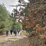 Μετά την ψιχάλα, ο ήλιος δίνει μια μικρή αλλά όμορφη νότα φωτός. Ο ήλιος προσπαθεί να φανεί μετά την ψιχάλα στο δάσος του Πάρνωνα