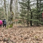 Φανταστικό στιγμιότυπο στο μονοπάτι, με τα φύλλα να καλύπτουν τη διαδρομή. Χειμωνιάτικο μονοπάτι με πεσμένα φύλλα στον Πάρνωνα